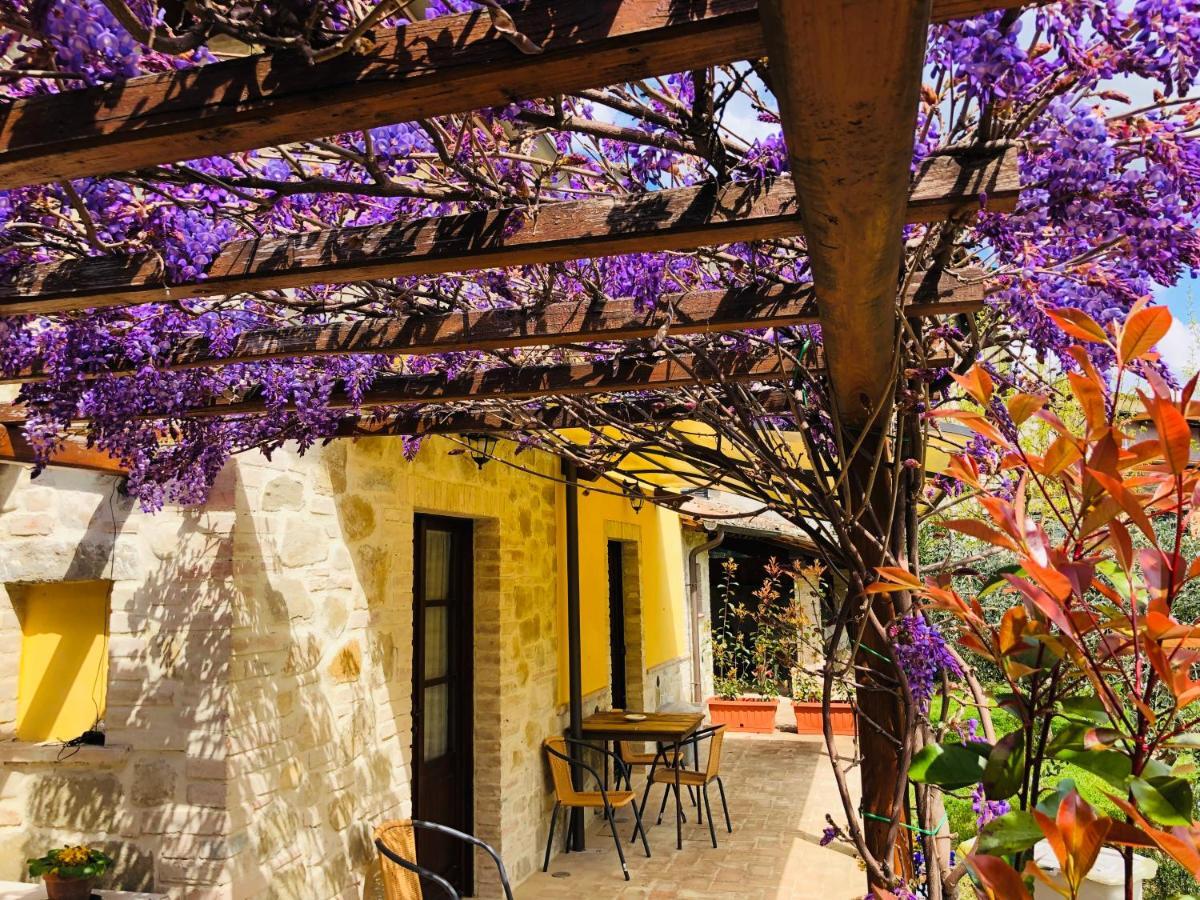 Casa vacanze Il Cortile Delle Rose House Perugia