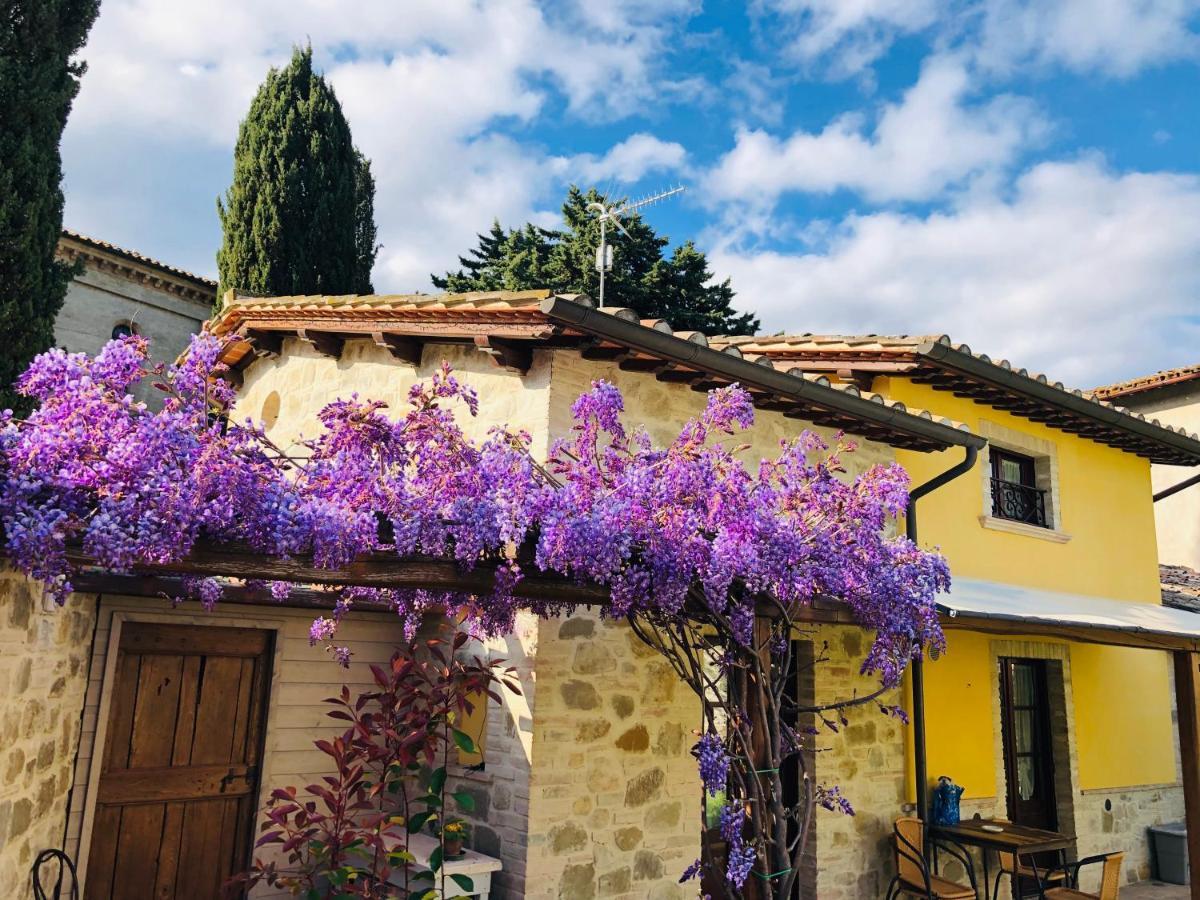 Il Cortile Delle Rose House